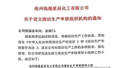 沧州临港星辰化工有限公司关于设立清洁生产审核组织机构的通知